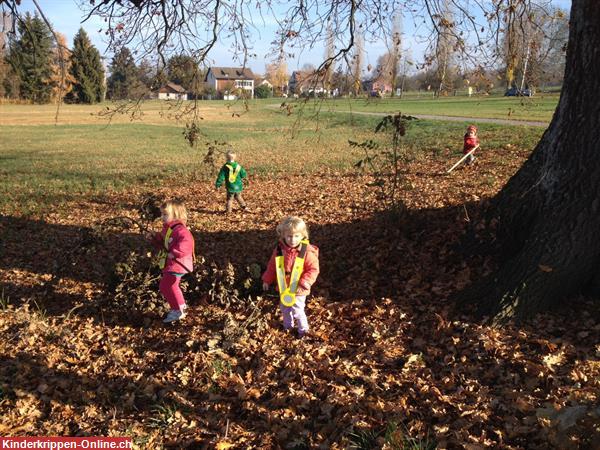 Bild 10: Kinderwelt kidin.ch, ganzheitliche Kinderbetreuung in Riedikon (am Greifensee)