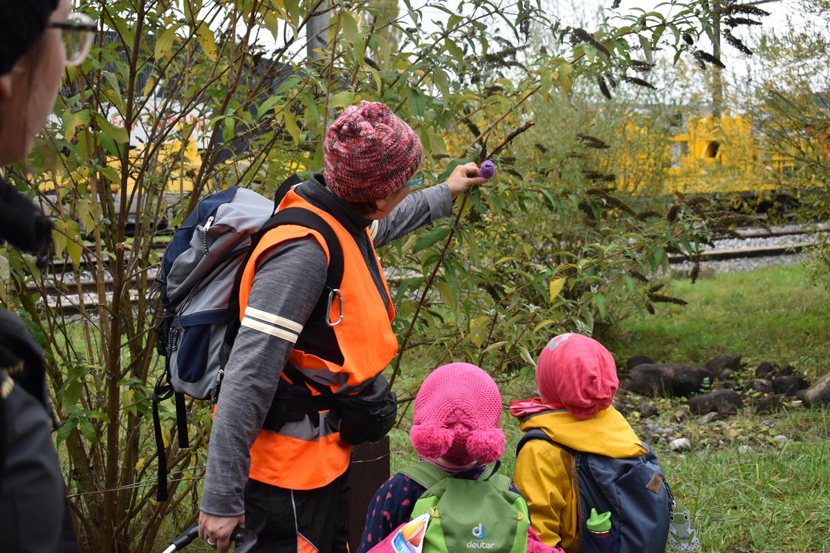 Bild 3: Wald- Spielgruppe Rägeboge, frühkindliche Bildung in Gwatt (nahe Thunersee)