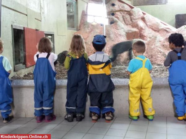 Bild 6: kiana Kita, Kinderbetreuung Winterthur