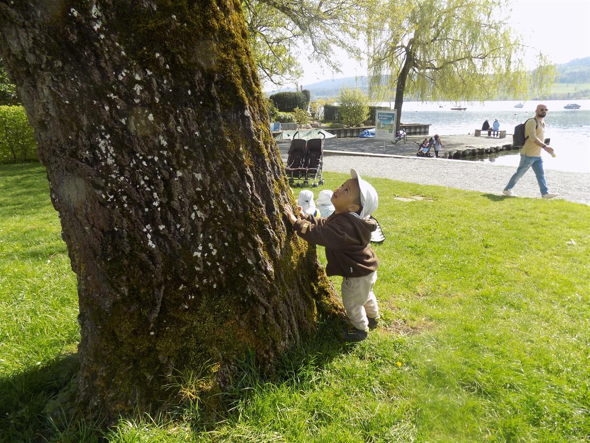Bild 5: Kita Greifensee, Betreuungsplätze bis Kindergarteneintritt