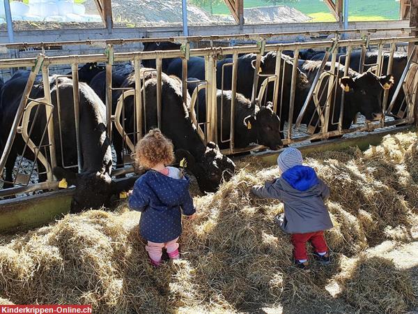 Bild 8: Kinderhaus LOKI, Ganztages- und Teilzeitbetreuung für Kinder in Dietikon
