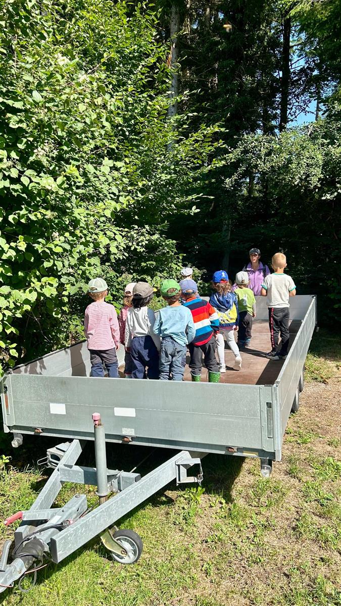 Bild 12: Waldspielgruppe in Oberhasli (Gemeinde Niederhasli)