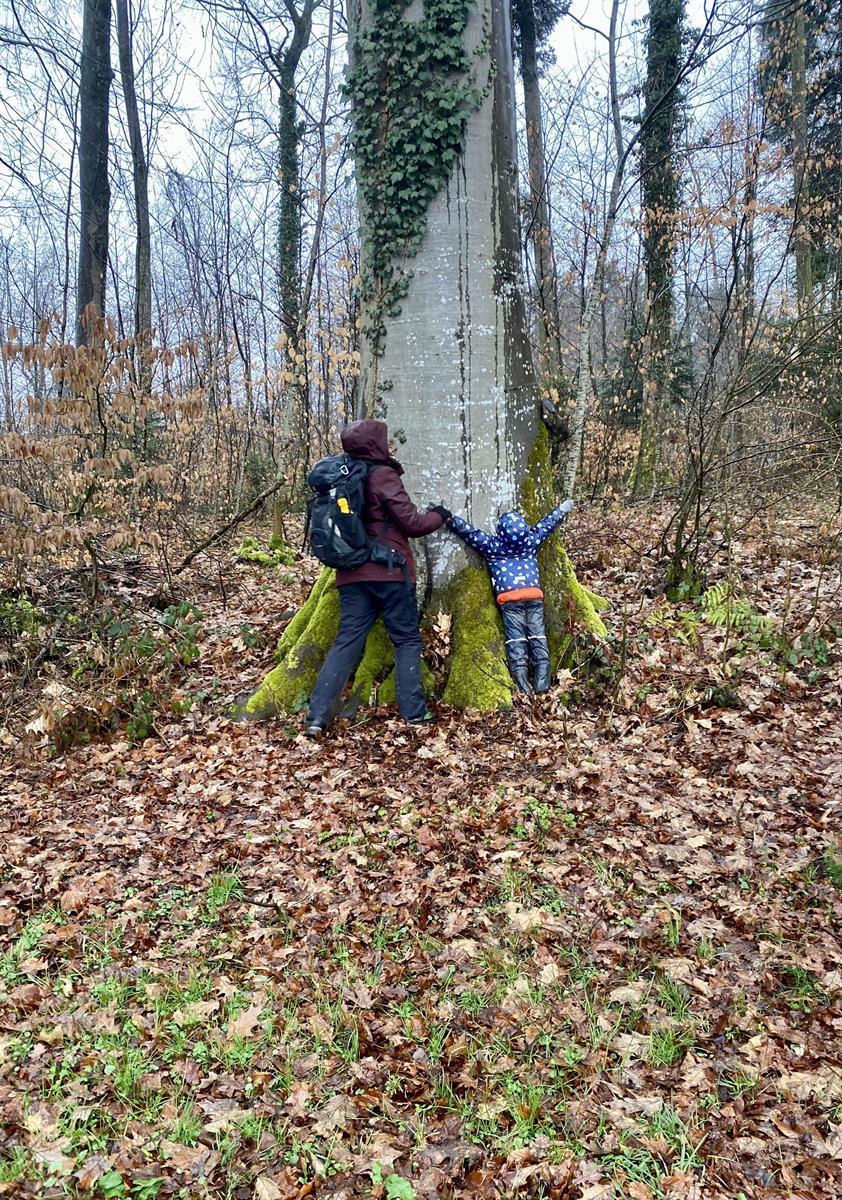 Bild 7: Waldspielgruppe in Oberhasli (Gemeinde Niederhasli)