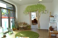 Wundergarten, familiäre, naturnahe Kindertagesstätte in Stetten AG