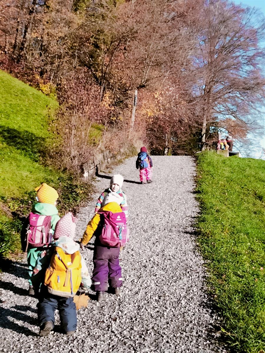 Bild 3: NaturKita, Kinderbetreuung mit Naturerlebnisse Adliswil