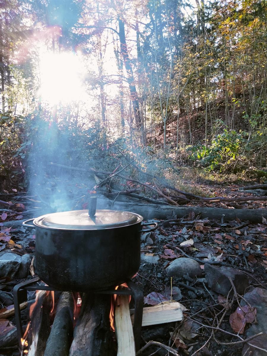 Bild 4: NaturKita, Kinderbetreuung mit Naturerlebnisse Adliswil