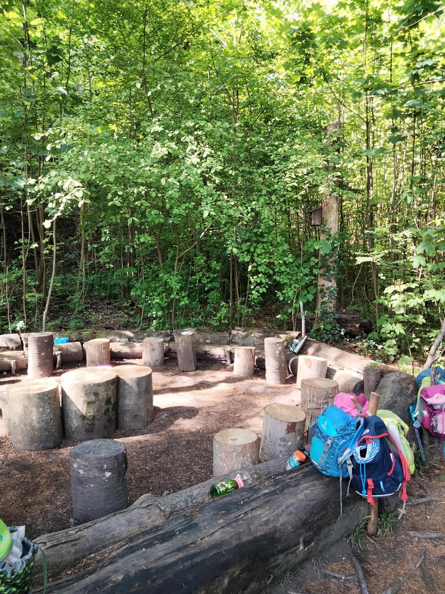 Bild 6: NaturKita, Kinderbetreuung mit Naturerlebnisse Adliswil