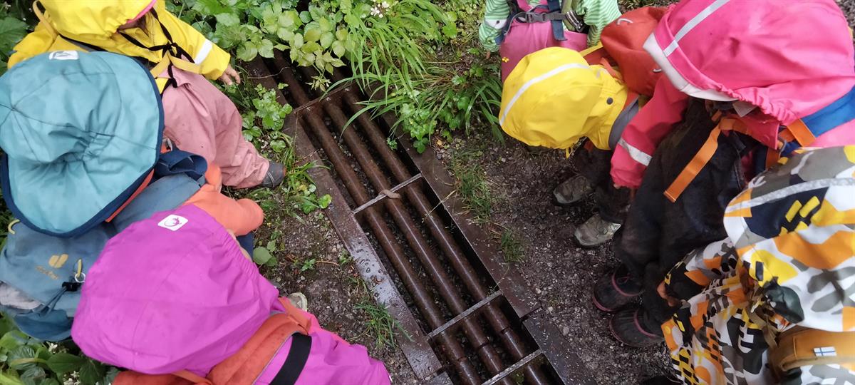 Bild 8: NaturKita, Kinderbetreuung mit Naturerlebnisse Adliswil