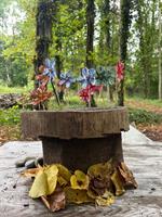 Natur und Wald Kita Weinfelden