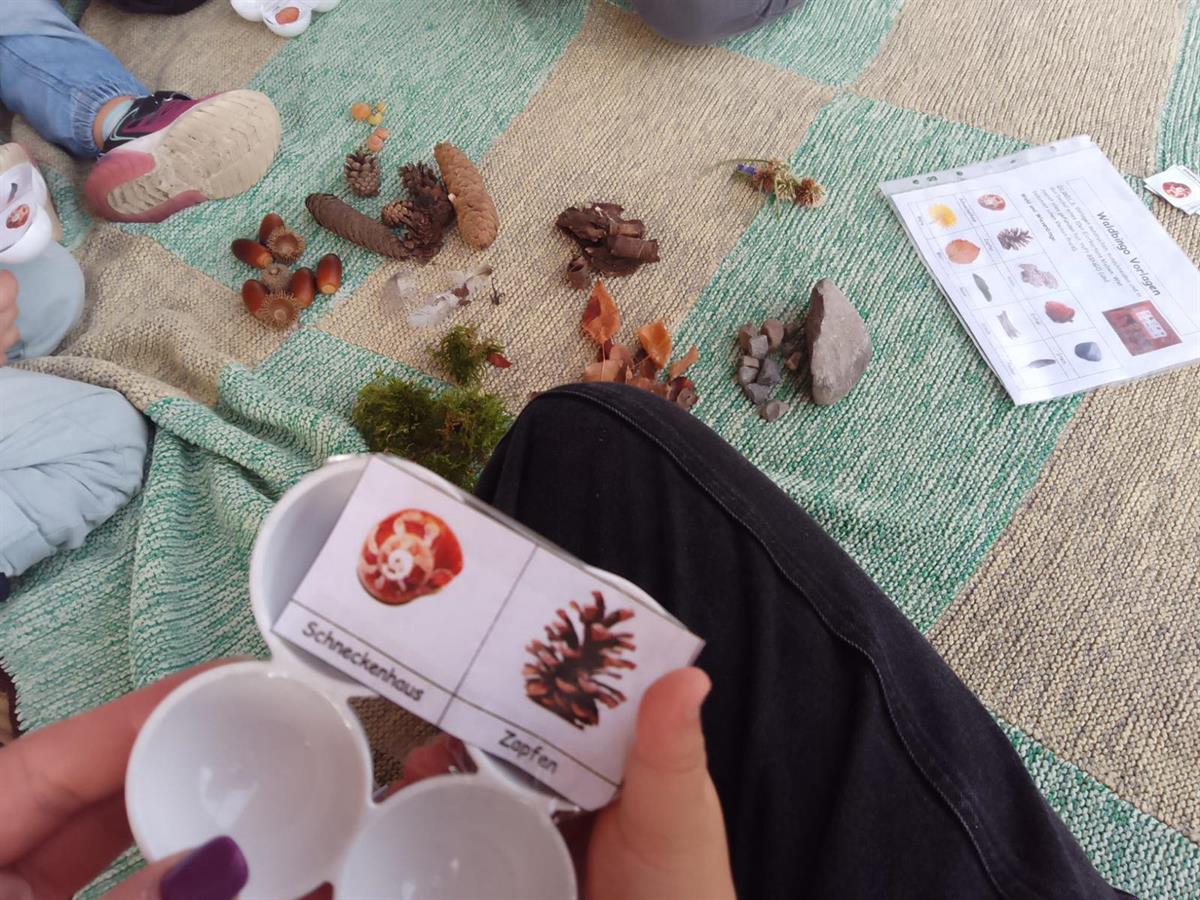 Bild 2: Natur und Wald Kita Weinfelden