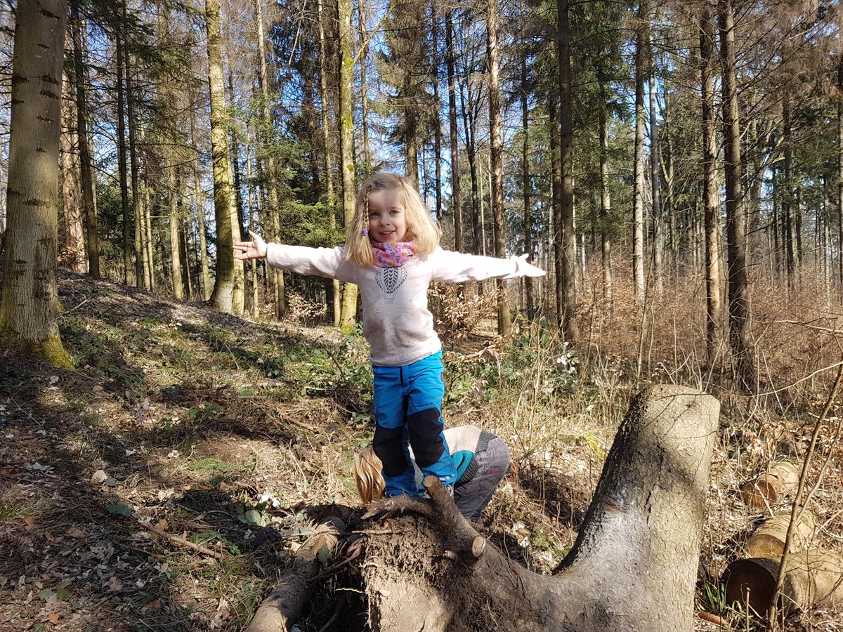 Bild 4: Troll Waldkinder AG, Natur-Kita Stadt Zürich