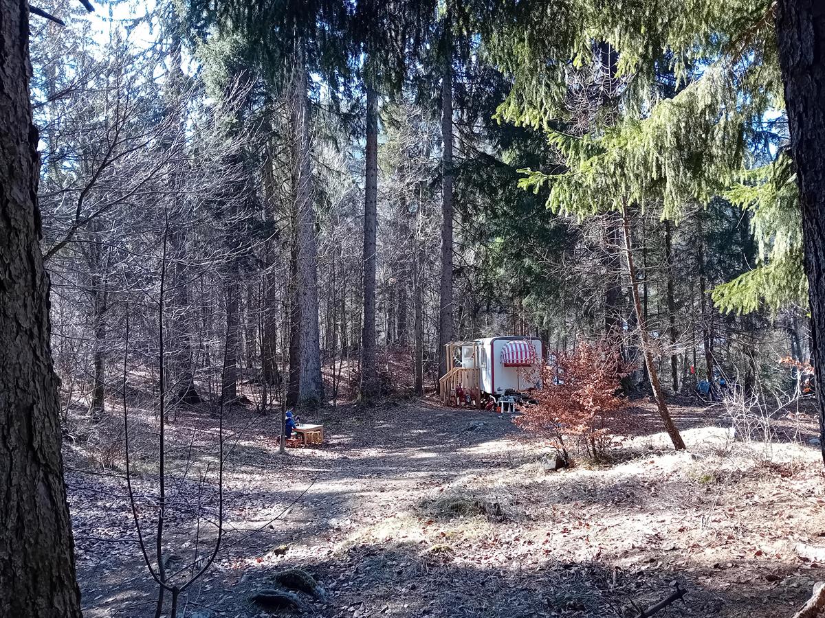 Bild 3: Wurzelwerk Safiental