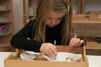 Montessori Kindergarten Kid's Paradise, Wallisellen
