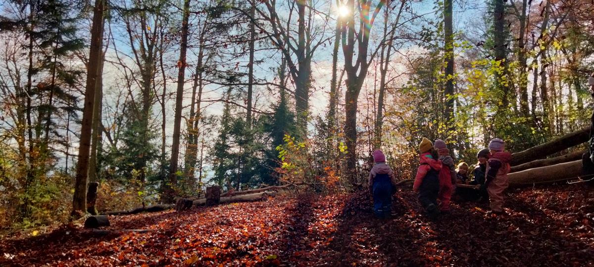 Bild 4: Kitajob als Miterzieher/in für Säuglingsgruppe, 60-80%, Adliswil ZH