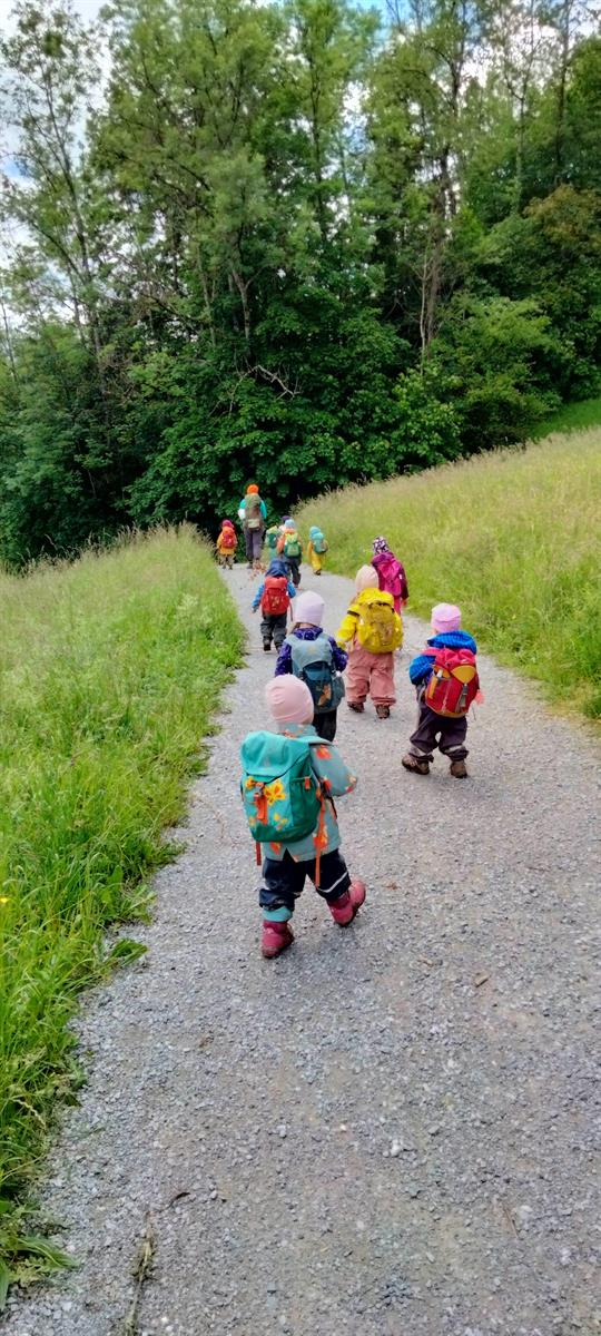 Bild 7: Kita Stelle als Gruppenleiter/in für Waldgruppe, 60-80%, Adliswil